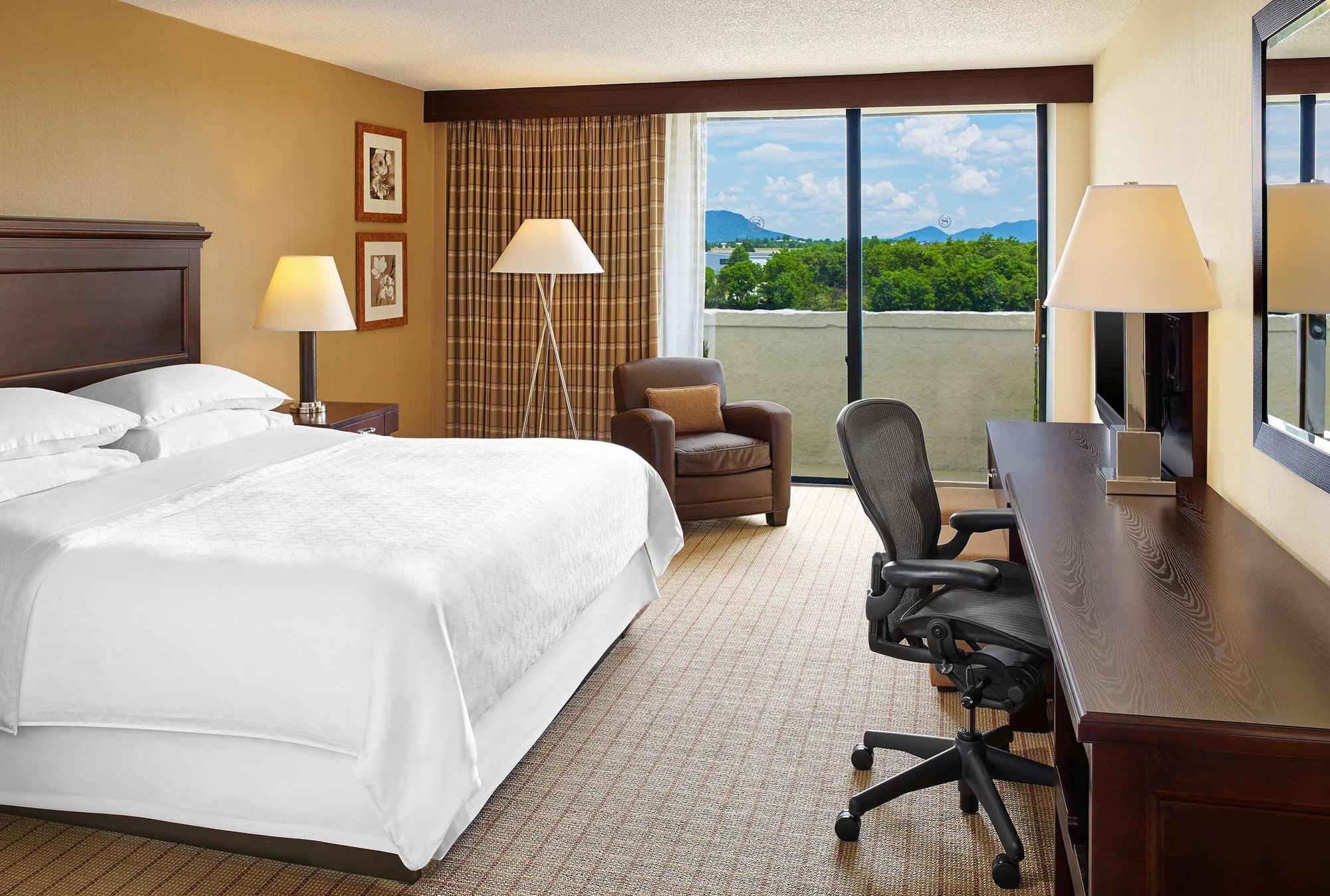 Blue Ridge Hotel & Conference Center Roanoke Exteriör bild